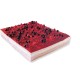 Plancha Yogurt-Frutas del Bosque