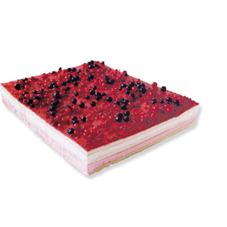 Plancha Yogurt-Frutas del Bosque