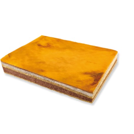 Plancha San Marcos